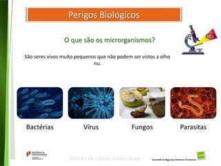 9
Divisão de Riscos Alimentares
Bactérias Vírus Fungos Parasitas
Perigos Biológicos
O que são os microrganismos?
São seres vivos muito pequenos que não podem ser vistos a olho
nu.
 