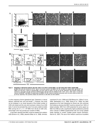 or other pregnancy factors (gestational age, Caesarean or natural
delivery, placental size, and cord length…). However, this could
not be analysed in our study because of the limited number of
UCB units tested and the very strict exclusion criteria of our UCB
bank. It cannot be excluded that, even if we were unable to isolate
MSC among the 3.1¡1.76108
MNC from 30–40 ml UCB units,
some larger units may provide low numbers of MSC.
It has been reported that MSC could be isolated from preterm
UCB (Erices et al., 2000), placenta (Miao et al., 2006), amniotic
membrane (Yu et al., 2009) and UCM (Wang et al., 2004a; Fu et al.,
2006; Seshareddy et al., 2008; Zhang et al., 2009), the latter
appearing as the most interesting for clinical use. We confirmed
this finding by showing that MSC could be cultured from 100% of
tested samples. MSC from UCM presented the same aspect as
MSC from BM but with a significantly higher proliferative potential
when cultured in DMEM supplemented with 5% human platelet
lysate reported to contain multiple growth factors (Schwartz-
Arad et al., 2007). The use of this medium could be an excellent
Figure 3 Morphology of UCB-derived adherent cells after culture of (A) CD133+
-enriched MNC or (B) CD3+
/CD19+
/CD14+
/CD38+
-depleted MNC
A) MNCs from UCB were enriched for CD133+
cells (n54) and were cultured in (e) DMEM+10% FBS, (f) DMEM+5% platelet lysate, (g) MSCGMj
, (h)
DMEM+10% UCB serum. Cultures of unpurified MNC in the same media are shown in (a), (b), (c) and (d), respectively. Flow cytometry analysis was
performed on cells before and after enrichment. (B) Mononuclear cells from UCB were depleted of CD3+
, CD19+
, CD14+
, CD38+
cells (n53) and were
cultured in (l) MSCGMj
, (m) DMEM+5% platelet lysate, (n) DMEM+10% FBS. Cultures of unpurified mononuclear cells in the same media are shown in (i),
(j) and (k), respectively. Flow cytometry analysis was performed on cells before and after depletion.
Cell Biol. Int. (2010) 34, 693–701
E The Author(s) Journal compilation E 2010 Portland Press Limited Volume 34 (7) N pages 693–701 N www.cellbiolint.org 697
 