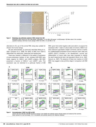 alternative to the use of the animal FBS, being less suitable for
infusion into human beings.
We also demonstrated, as previously described (Wang et al.,
2004; Campard et al., 2008), the ability of MSC from UCM to
differentiate into adipocytes, osteocytes and hepatocytes.
There was, however, a difference in the pattern of expression
of some phenotypic markers. In fact, whereas UCM MSC were
totally negative for SSEA-4 and LNGFR antigens, BM MSC
presented a fraction of SSEA-4+
and LNGFR+
cells. This
expression was not restricted to a particular fraction of BM
MSC, given that sorted negative cells were able to re-acquire the
expression after 1 week of culture (data not shown). SSEA-4 (an
early embryonic glycolipidic antigen commonly used as a marker
for undifferentiated pluripotent human embryonic stem cells) and
LNGFR (CD271) (involved in the development, survival and
differentiation of neural cells) have been proposed to identify
the adult mesenchymal stem cell population (Quirici et al., 2002;
Gang et al., 2007). The absence of these two markers on UCM
MSC may suggest a less primitive stage in comparison with BM
MSC.
Figure 4 Morphology and proliferation potential of MSCs derived from UCB
Morphology of MSC derived from UCB at (A) passage 1 (B) passage 7, or from BM at (C) passage 1 and (D) passage 4. (E) Mean values of the cumulative
population doublings, determined at each passage of MSC from UCM (n58) and BM (n510).
Figure 5 Immunophenotype of MSC from UCM and BM
Cultured cells from UCM (A) and BM (B) harvested at passage 3 were labelled with antibodies against indicated antigens and analysed by flow cytometry.
Values represent the mean percentage¡S.D. of all assessed cells positively stained by the respective antibodies.
Mesenchymal stem cells in umbilical cord blood and cord matrix
698 www.cellbiolint.org N Volume 34 (7) N pages 693–701 E The Author(s) Journal compilation E 2010 Portland Press Limited
 