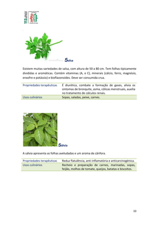 10
.
Salsa
Existem muitas variedades de salsa, com altura de 50 a 80 cm. Tem folhas tipicamente
divididas e aromáticas. Contém vitaminas (A, e C), minerais (cálcio, ferro, magnésio,
enxofre e potássio) e bioflavonoides. Deve ser consumida crua.
Propriedades terapêuticas É diurética, combate a formação de gases, alivia os
sintomas de bronquite, asma, cólicas menstruais, auxilia
no tratamento de cálculos renais.
Usos culinários Sopas, saladas, peixe, carnes.
Sálvia
A sálvia apresenta as folhas aveludadas e um aroma de cânfora.
Propriedades terapêuticas Reduz flatulência, anti-inflamatória e anticarcinogénica.
Usos culinários Recheio e preparação de carnes, marinadas, sopas,
feijão, molhos de tomate, queijos, batatas e biscoitos.
 