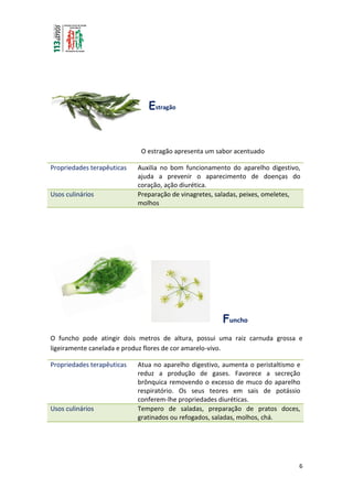 6
O estragão apresenta um sabor acentuado
Propriedades terapêuticas Auxilia no bom funcionamento do aparelho digestivo,
ajuda a prevenir o aparecimento de doenças do
coração, ação diurética.
Usos culinários Preparação de vinagretes, saladas, peixes, omeletes,
molhos
Funcho
O funcho pode atingir dois metros de altura, possui uma raiz carnuda grossa e
ligeiramente canelada e produz flores de cor amarelo-vivo.
Propriedades terapêuticas Atua no aparelho digestivo, aumenta o peristaltismo e
reduz a produção de gases. Favorece a secreção
brônquica removendo o excesso de muco do aparelho
respiratório. Os seus teores em sais de potássio
conferem-lhe propriedades diuréticas.
Usos culinários Tempero de saladas, preparação de pratos doces,
gratinados ou refogados, saladas, molhos, chá.
Estragão
 