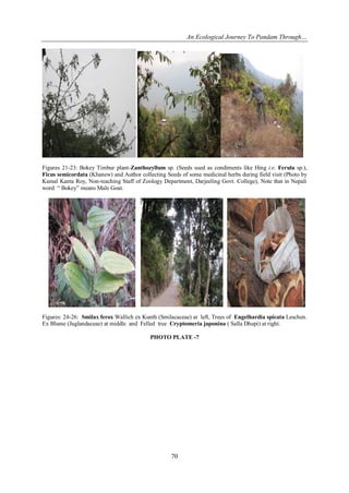 I044053079 | PDF