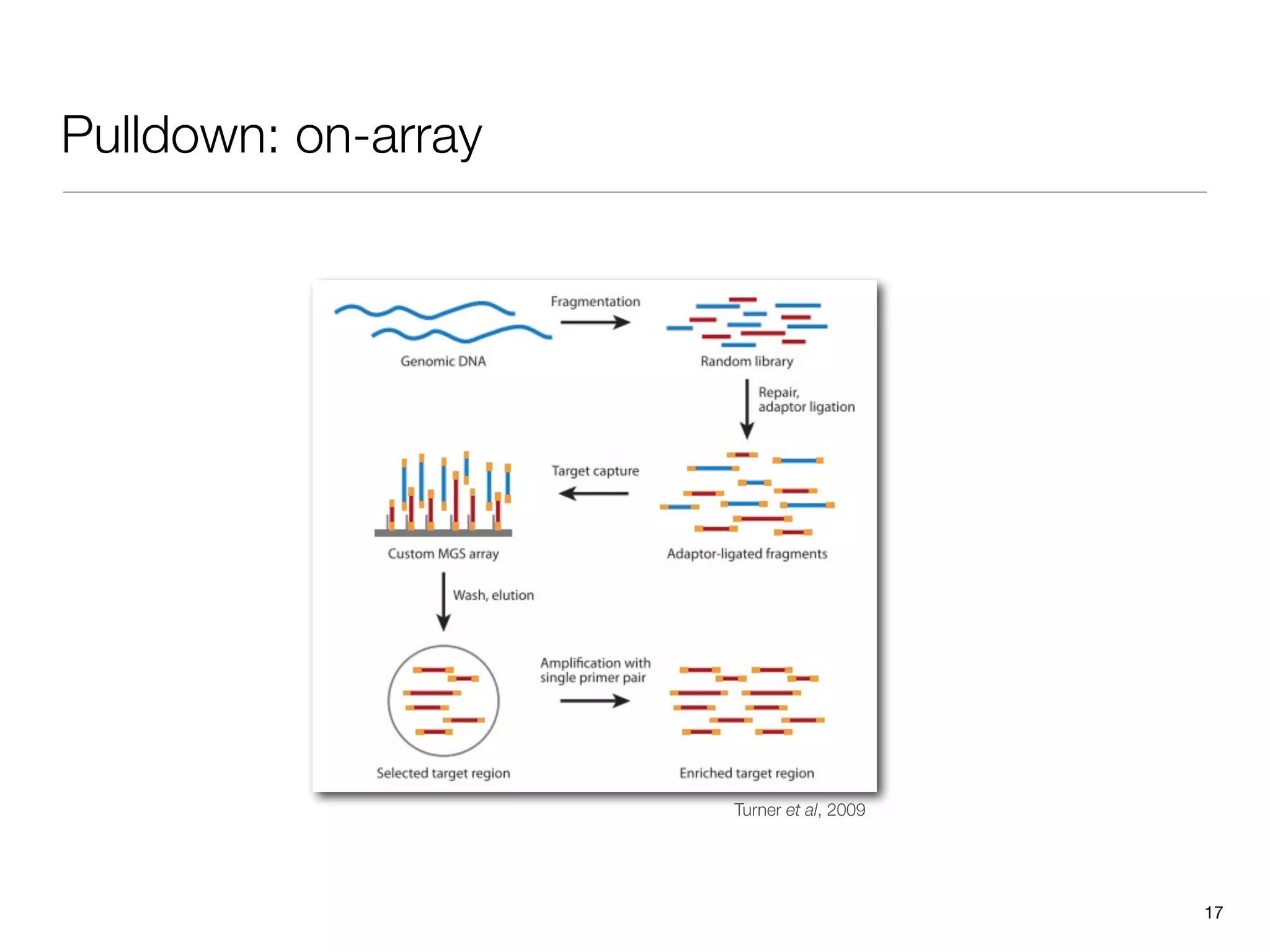 Pulldown: on-array




                     Turner et al, 2009




                                          17
 