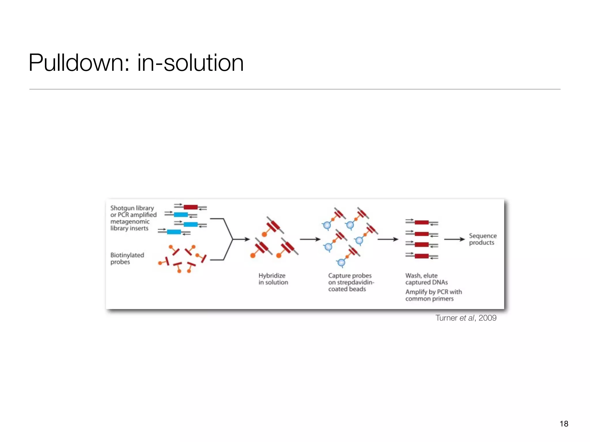 Pulldown: in-solution




                        Turner et al, 2009




                                             18
 