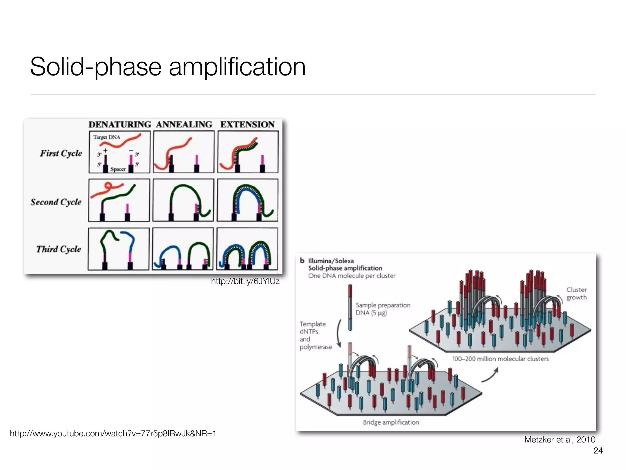 Solid-phase ampliﬁcation




                                             http://bit.ly/6JYIUz




http://www.youtube.com/watch?v=77r5p8IBwJk&NR=1
                                                                    Metzker et al, 2010
                                                                                       24
 