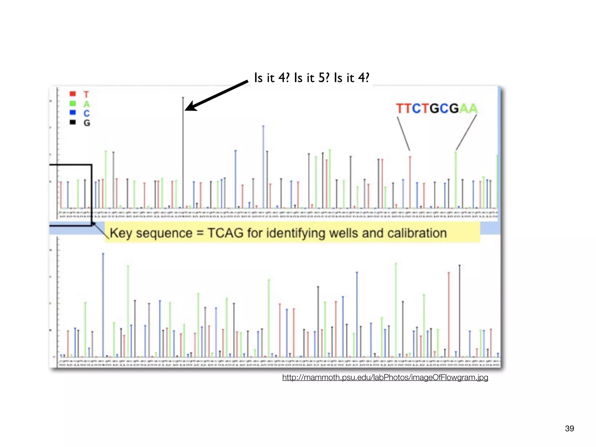 Is it 4? Is it 5? Is it 4?




      http://mammoth.psu.edu/labPhotos/imageOfFlowgram.jpg




                                                             39
 