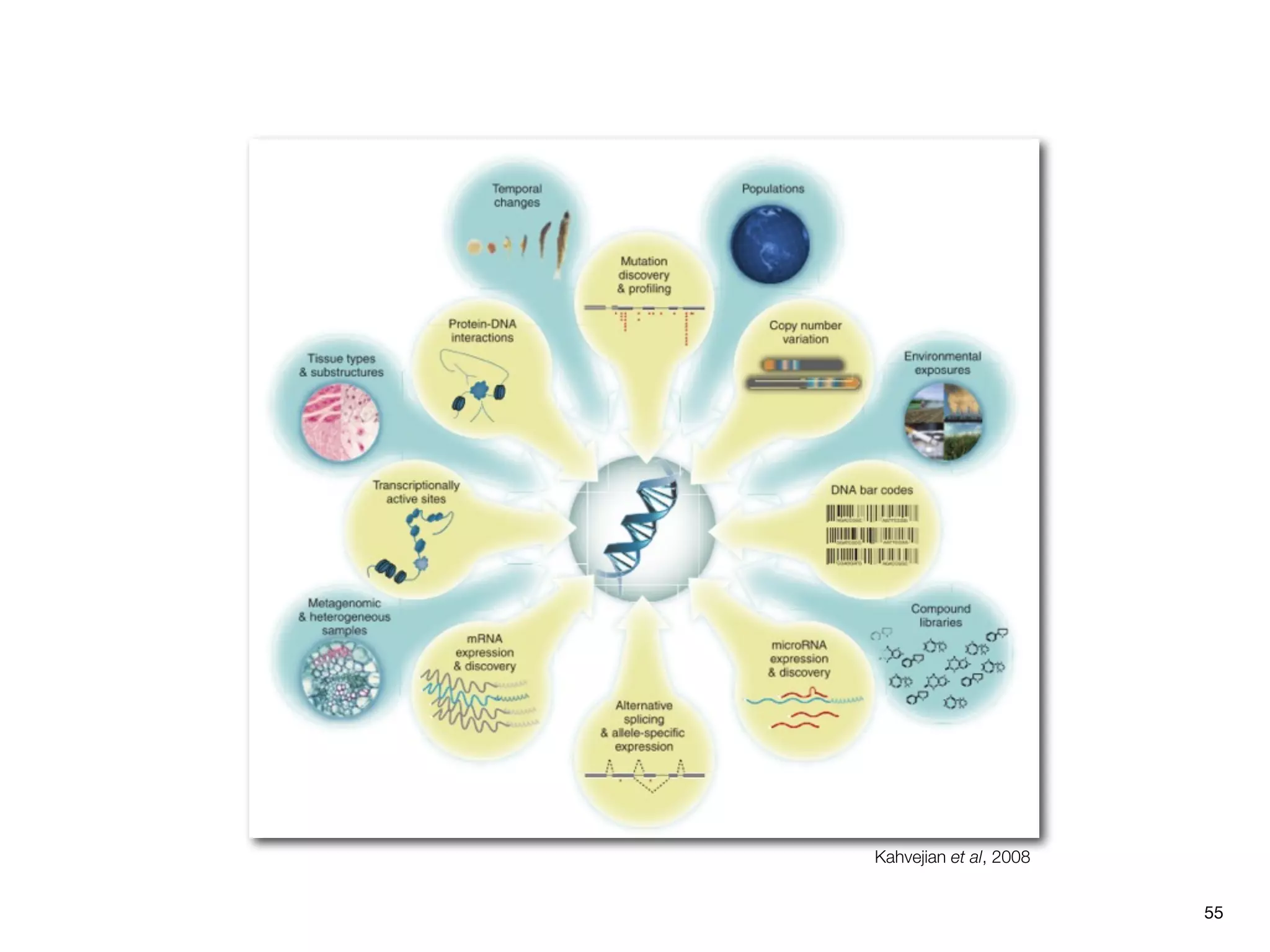 Kahvejian et al, 2008


                        55
 