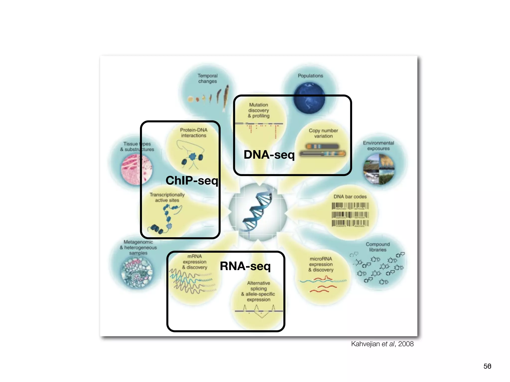 DNA-seq

ChIP-seq




           RNA-seq




                        Kahvejian et al, 2008


                                                50
                                                56
 