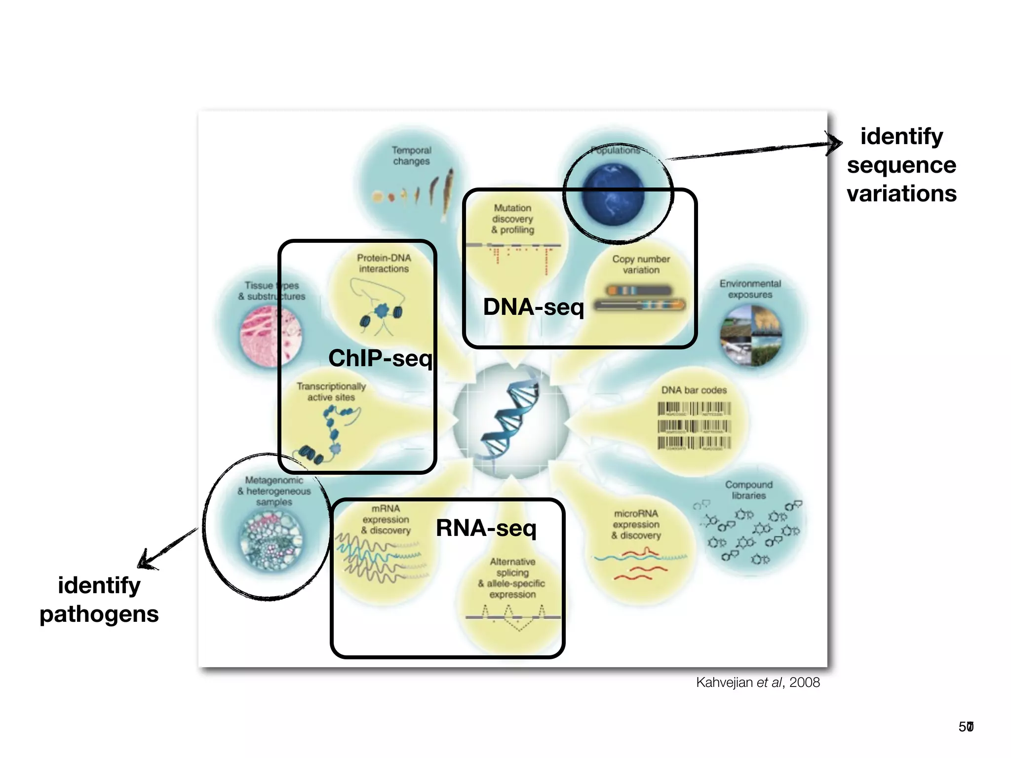 identify
                                                            sequence
                                                            variations



                          DNA-seq

            ChIP-seq




                       RNA-seq

 identify
pathogens

                                    Kahvejian et al, 2008


                                                                         50
                                                                         51
                                                                         57
 