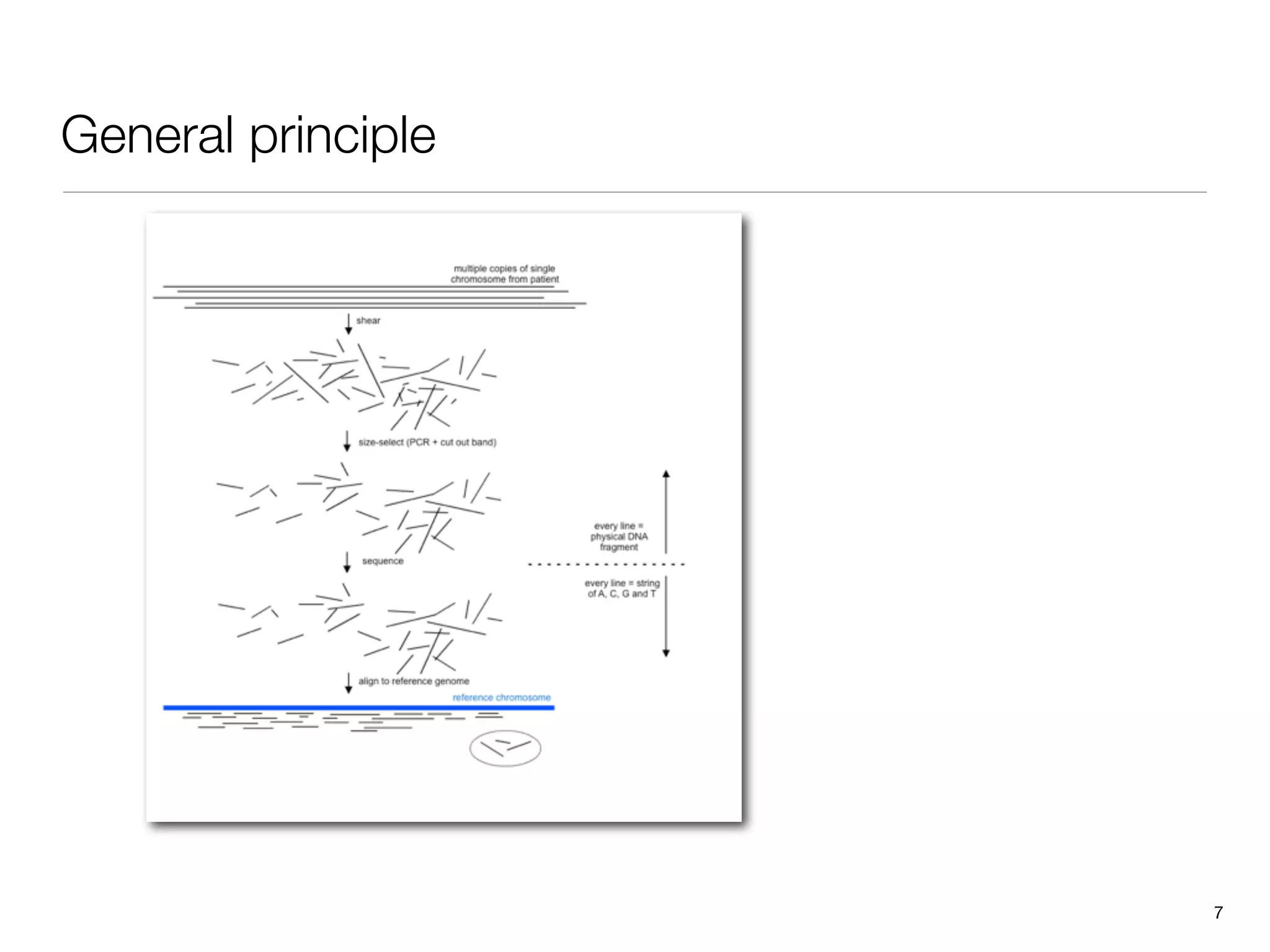General principle




                    7
 
