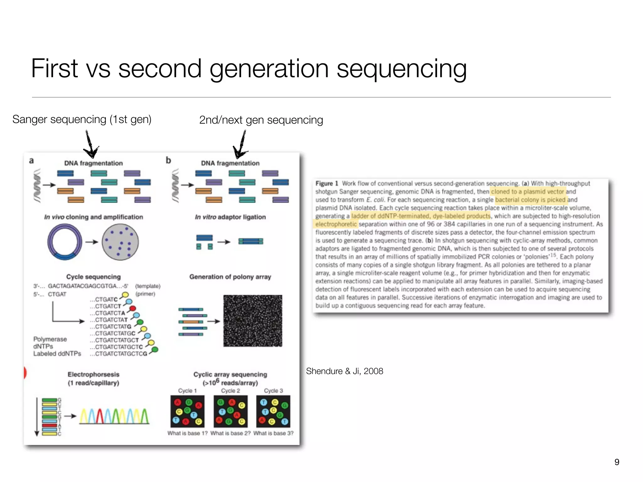 First vs second generation sequencing
Sanger sequencing (1st gen)   2nd/next gen sequencing




                                                 Shendure & Ji, 2008




                                                                       9
 