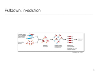 Pulldown: in-solution




                        Turner et al, 2009




                                             18
 