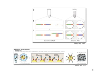 Williams et al, 2006




 Metzker et al, 2010


                       23
 