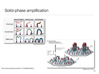 Solid-phase ampliﬁcation




                                             http://bit.ly/6JYIUz




http://www.youtube.com/watch?v=77r5p8IBwJk&NR=1
                                                                    Metzker et al, 2010
                                                                                       24
 