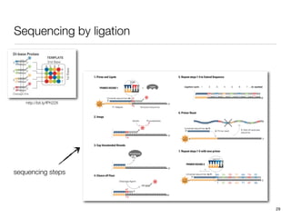 Sequencing by ligation




   http://bit.ly/fPh22X




sequencing steps




                          29
 