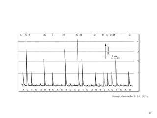 Ronaghi, Genome Res 11:3-11 (2001)




                                     37
 