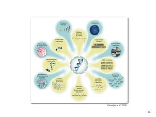 Kahvejian et al, 2008


                        55
 