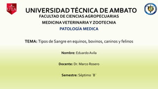 UNIVERSIDADTÉCNICA DE AMBATO
FACULTAD DE CIENCIAS AGROPECUARIAS
MEDICINAVETERINARIAY ZOOTECNIA
PATOLOGÍA MEDICA
TEMA: Tipos de Sangre en equinos, bovinos, caninos y felinos
Nombre: Eduardo Avila
Docente: Dr. Marco Rosero
Semestre: Séptimo ¨B¨
 