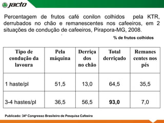 Percentagem de frutos café conilon colhidos pela KTR,
derrubados no chão e remanescentes nos cafeeiros, em 2
situações de condução de cafeeiros, Pirapora-MG, 2008.
-
% de frutos colhidos
Tipo de
condução da
lavoura
Pela
máquina
Derriça
dos
no chão
Total
derriçado
Remanes
centes nos
pés
1 haste/pl 51,5 13,0 64,5 35,5
3-4 hastes/pl 36,5 56,5 93,0 7,0
Publicado: 34º Congresso Brasileiro de Pesquisa Cafeeira
 