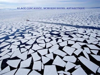 glAce concAssée, mcmurdo sound, AntArctIque