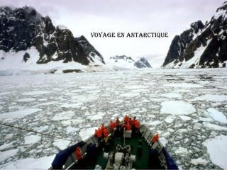 Voyage en antarctique