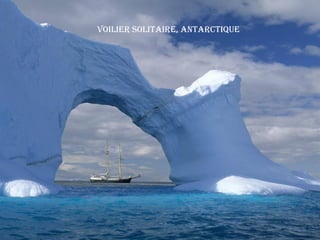 Voilier Solitaire, antarctique
