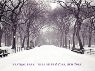 central park, Ville de neW york, neW york