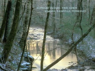 ruisseau Vaughn , ParC edwin
warner, nashVille, tennessee