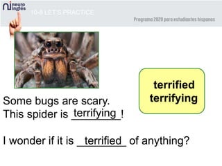 10-8 LET’S PRACTICE
terrified
terrifyingSome bugs are scary.
This spider is ________!
I wonder if it is ________ of anything?
terrifying
terrified
 