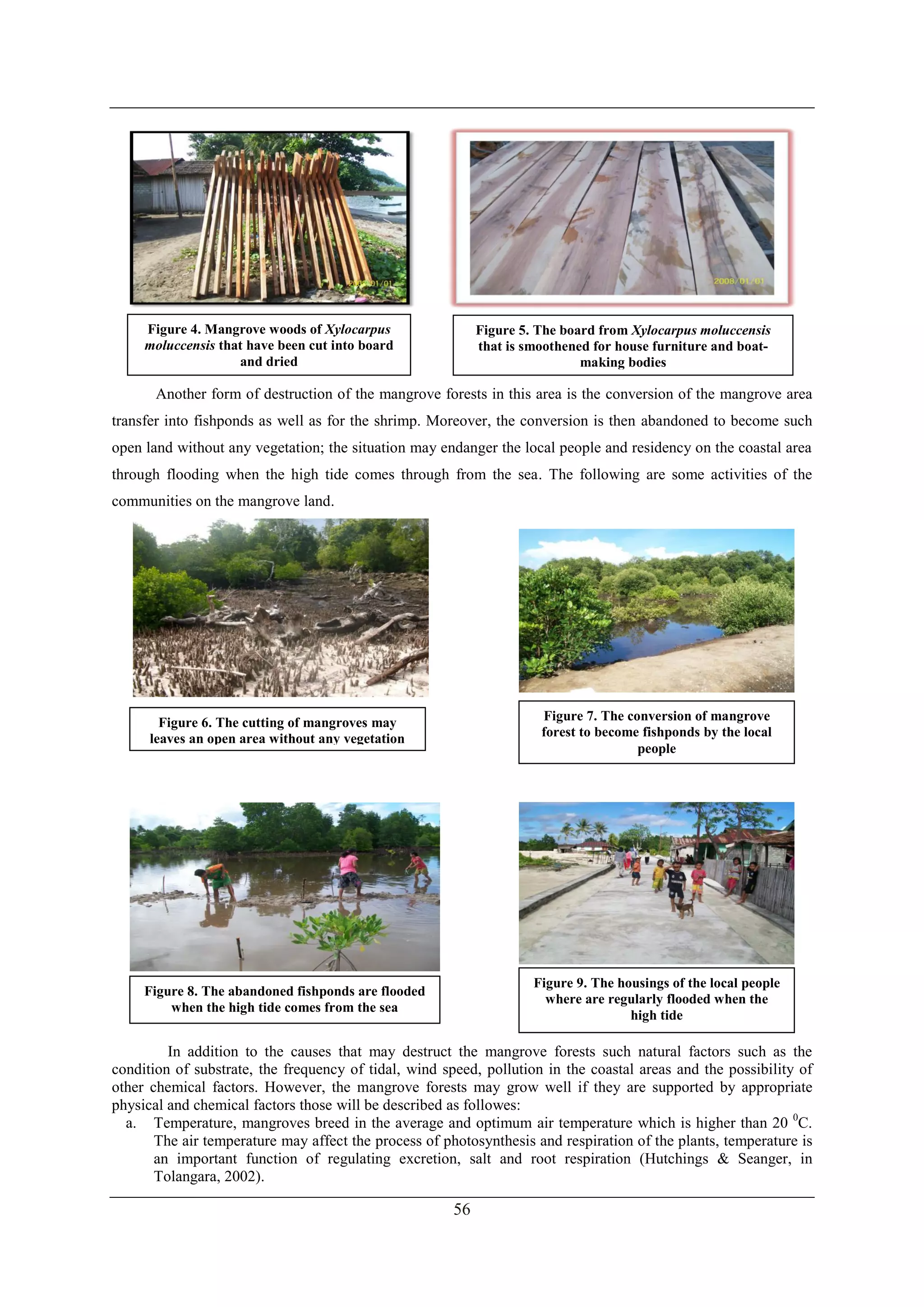 56
Another form of destruction of the mangrove forests in this area is the conversion of the mangrove area
transfer into fishponds as well as for the shrimp. Moreover, the conversion is then abandoned to become such
open land without any vegetation; the situation may endanger the local people and residency on the coastal area
through flooding when the high tide comes through from the sea. The following are some activities of the
communities on the mangrove land.
In addition to the causes that may destruct the mangrove forests such natural factors such as the
condition of substrate, the frequency of tidal, wind speed, pollution in the coastal areas and the possibility of
other chemical factors. However, the mangrove forests may grow well if they are supported by appropriate
physical and chemical factors those will be described as followes:
a. Temperature, mangroves breed in the average and optimum air temperature which is higher than 20 0
C.
The air temperature may affect the process of photosynthesis and respiration of the plants, temperature is
an important function of regulating excretion, salt and root respiration (Hutchings & Seanger, in
Tolangara, 2002).
Figure 4. Mangrove woods of Xylocarpus
moluccensis that have been cut into board
and dried
Figure 5. The board from Xylocarpus moluccensis
that is smoothened for house furniture and boat-
making bodies
Figure 6. The cutting of mangroves may
leaves an open area without any vegetation
Figure 9. The housings of the local people
where are regularly flooded when the
high tide
Figure 8. The abandoned fishponds are flooded
when the high tide comes from the sea
Figure 7. The conversion of mangrove
forest to become fishponds by the local
people
 
