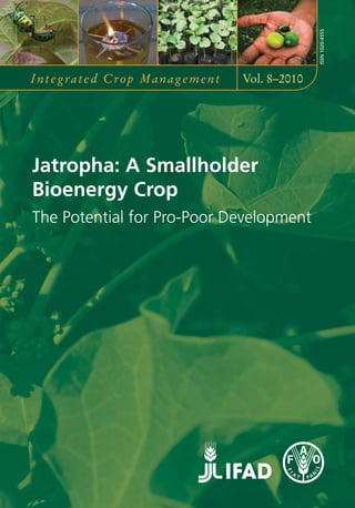 ISSN 1020-4555
Integrated Crop Management   Vol. 8–2010




Jatropha: A Smallholder
Bioenergy Crop
The Potential for Pro-Poor Development
 
