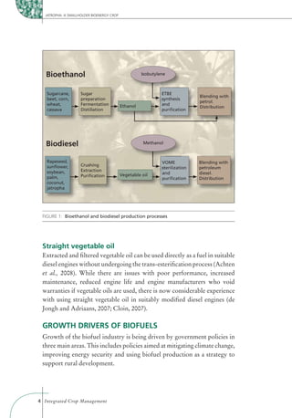 JATROPHA: A SMALLHOLDER BIOENERGY CROP




   Bioethanol                                         Isobutylene



   Sugarcane,        Sugar                                     ETBE
                                                                               Blending with
   beet, corn,       preparation                               synthesis
                                                                               petrol.
   wheat,            Fermentation           Ethanol            and
                                                                               Distribution
   cassava           Distillation                              puriﬁcation




   Biodiesel                                          Methanol



   Rapeseed,                                                   VOME            Blending with
   sunﬂower,         Crushing
                                                               sterilization   petroleum
   soybean,          Extraction
                                            Vegetable oil      and             diesel.
   palm,             Puriﬁcation
                                                               puriﬁcation     Distribution
   coconut,
   jatropha




 FIGURE 1: Bioethanol and biodiesel production processes




 Straight vegetable oil
 Extracted and ﬁltered vegetable oil can be used directly as a fuel in suitable
 diesel engines without undergoing the trans-esteriﬁcation process (Achten
 et al., 2008). While there are issues with poor performance, increased
 maintenance, reduced engine life and engine manufacturers who void
 warranties if vegetable oils are used, there is now considerable experience
 with using straight vegetable oil in suitably modiﬁed diesel engines (de
 Jongh and Adriaans, 2007; Cloin, 2007).

 GROWTH DRIVERS OF BIOFUELS
 Growth of the biofuel industry is being driven by government policies in
 three main areas. This includes policies aimed at mitigating climate change,
 improving energy security and using biofuel production as a strategy to
 support rural development.




4 Integrated Crop Management
 