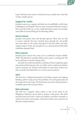 JATROPHA CURCAS L.




Cape Verde have been used as a fuelwood source, mainly due to the lack
of other suitable species.

Support for vanilla
Jatropha is grown as a support and shade tree in smallholder vanilla farms
in Madagascar and Uganda. The tree stems are pruned while the canopy is
left to provide shade. As a result, vanilla plantations report low jatropha
seed yields of around 200 kg per ha (Henning, 2004a).

Green manure
Jatropha trees grown from seed develop taproots. Thus, they are able
to extract minerals that have leached down through the soil proﬁle
and return them to the surface through leaf fall, fruit debris and other
organic remains. In this way, jatropha acts as a nutrient pump which helps
rehabilitate degraded land.

Plant extracts
Jatropha plant extracts have many uses in traditional societies (Heller,
1996). The dried latex resembles shellac and is used as a marking ink. The
leaves and bark are used for dyeing cloth.
    Jatropha has medicinal qualities, including a blood coagulating agent
and antimicrobial properties that are widely used in traditional medicine
and for veterinary use. All parts of the plant are used. Some of these uses
that are brieﬂy described below are to some extent anecdotal.

Stem
The latex has a widespread reputation for healing wounds and stopping
bleeding, and for curing various skin problems. It is used against pain and
the stings of bees and wasps. The fresh stems are used as chewing sticks to
strengthen gums and treat gum disease.

Bark and roots
The bark has a purgative effect similar to that of the seeds. In the
Philippines, ﬁshermen use the bark to prepare a ﬁsh poison. The dried
and pulverized root bark is made into poultices and taken internally to
expel worms and to treat jaundice. A decoction of the roots is used to treat
diarrhoea and gonorrhoea.



                                                                  Vol. 8–2010 19
 
