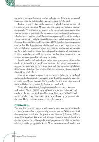 JATROPHA: A SMALLHOLDER BIOENERGY CROP




  no known antidote, but case studies indicate that following accidental
  ingestion, often by children, full recovery is usual (IPCS, n.d.).
       Toxicity is chieﬂy due to the presence of phorbol esters, as inferred
  from the fact that non-toxic Mexican jatropha varieties are deﬁcient in these
  compounds. Phorbol esters are known to be co-carcinogenic, meaning that
  they are tumour promoting in the presence of other carcinogenic substances.
  It has been reported that phorbol esters decompose rapidly – within six days
  – as they are sensitive to light, elevated temperatures and atmospheric oxygen
  (Rug and Ruppel, 2000, cited Jongschaap, 2007), but there is no supporting
  data for this. The decomposition of these and other toxic compounds in the
  ﬁeld needs further evaluation before insecticide or molluscicide oil extracts
  can be widely used, or before the widespread application of seed cake as
  fertilizer, particularly on edible crops, given that there is no information as to
  whether such compounds are taken up by plants.
       Curcin has been described as a major toxic component of jatropha,
  similar to ricin which is a well known poison. Yet, experiments on mice
  suggest that curcin is, in fact, innocuous and has a median lethal dose
  (LD50) some 1000 times that of ricin. Curcin is commonly found in edible
  plants (King et al., 2009).
       For toxic varieties of jatropha, all the products, including the oil, biodiesel
  and the seed cake, are toxic. Laboratory-scale detoxiﬁcation of the seed cake
  to render it usable as a livestock feed is possible, but it is not straightforward
  and is unlikely to be economically feasible on a small scale.
       Mexico has varieties of Jatropha curcas that are not poisonous
  and, in fact, Gubitz (1999) reported that wildlife and livestock feed
  on the seeds, and that traditional Mexican dishes use the boiled and
  roasted seeds. Using these varieties in future breeding programmes is
  the most likely route to non-toxic jatropha products.

  Invasiveness
  The fact that jatropha can grow and colonize areas that are inhospitable
  to other plants makes it a potentially invasive species. While some ﬁeld
  observers have stated that the plant is not invasive (Henning, 2004a),
  Australia’s Northern Territory and Western Australia have declared it a
  noxious weed and have biological control programmes in place for its close
  relative Jatropha gossypiifolia. South Africa bans commercial production




22 Integrated Crop Management
 