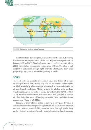 JATROPHA: A SMALLHOLDER BIOENERGY CROP




                       Limits of cultivation of Jatropha curcas




  FIGURE 6: Cultivation limits of Jatropha curcas




      Rainfall induces ﬂowering and, in areas of unimodal rainfall, ﬂowering
  is continuous throughout most of the year. Optimum temperatures are
  between 20˚C and 28˚C. Very high temperatures can depress yields (Gour,
  2006). Jatropha has been seen to be intolerant of frost. The plant is well
  adapted to conditions of high light intensity (Baumgaart, 2007, cited
  Jongschaap, 2007) and is unsuited to growing in shade.


  SOILS
  The best soils for jatropha are aerated sands and loams of at least
  45 cm depth (Gour, 2006). Heavy clay soils are less suitable and should be
  avoided, particularly where drainage is impaired, as jatropha is intolerant
  of waterlogged conditions. Ability to grow in alkaline soils has been
  widely reported, but the soil pH should be within 6.0 to 8.0/8.5 (FACT,
  2007). There is evidence from northwest India that jatropha is tolerant
  of saline irrigation water, although yield under these conditions is not
  documented (Dagar et al., 2006).
      Jatropha is known for its ability to survive in very poor dry soils in
  conditions considered marginal for agriculture, and can even root into rock
  crevices. However, survival ability does not mean that high productivity
  can be obtained from jatropha under marginal agricultural environments.




28 Integrated Crop Management
 