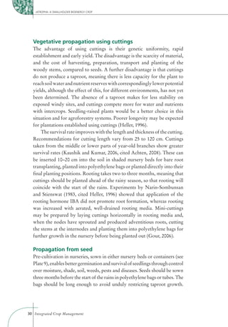 JATROPHA: A SMALLHOLDER BIOENERGY CROP




  Vegetative propagation using cuttings
  The advantage of using cuttings is their genetic uniformity, rapid
  establishment and early yield. The disadvantage is the scarcity of material,
  and the cost of harvesting, preparation, transport and planting of the
  woody stems, compared to seeds. A further disadvantage is that cuttings
  do not produce a taproot, meaning there is less capacity for the plant to
  reach soil water and nutrient reserves with correspondingly lower potential
  yields, although the effect of this, for different environments, has not yet
  been determined. The absence of a taproot makes for less stability on
  exposed windy sites, and cuttings compete more for water and nutrients
  with intercrops. Seedling-raised plants would be a better choice in this
  situation and for agroforestry systems. Poorer longevity may be expected
  for plantations established using cuttings (Heller, 1996).
      The survival rate improves with the length and thickness of the cutting.
  Recommendations for cutting length vary from 25 to 120 cm. Cuttings
  taken from the middle or lower parts of year-old branches show greater
  survival rates (Kaushik and Kumar, 2006, cited Achten, 2008). These can
  be inserted 10–20 cm into the soil in shaded nursery beds for bare root
  transplanting, planted into polyethylene bags or planted directly into their
  ﬁnal planting positions. Rooting takes two to three months, meaning that
  cuttings should be planted ahead of the rainy season, so that rooting will
  coincide with the start of the rains. Experiments by Narin-Sombunsan
  and Stienswat (1983, cited Heller, 1996) showed that application of the
  rooting hormone IBA did not promote root formation, whereas rooting
  was increased with aerated, well-drained rooting media. Mini-cuttings
  may be prepared by laying cuttings horizontally in rooting media and,
  when the nodes have sprouted and produced adventitious roots, cutting
  the stems at the internodes and planting them into polyethylene bags for
  further growth in the nursery before being planted out (Gour, 2006).

  Propagation from seed
  Pre-cultivation in nurseries, sown in either nursery beds or containers (see
  Plate 9), enables better germination and survival of seedlings through control
  over moisture, shade, soil, weeds, pests and diseases. Seeds should be sown
  three months before the start of the rains in polyethylene bags or tubes. The
  bags should be long enough to avoid unduly restricting taproot growth.




30 Integrated Crop Management
 