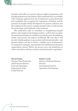 JATROPHA: A SMALLHOLDER BIOENERGY CROP




  jatropha, and it offers an overview and case studies of experiences with
  jatropha production in sub-Saharan Africa and South Asia. It concludes
  with viewpoints gathered from the Consultation’s group discussions
  and roundtables that recognized the importance of biofuels and the
  potential of jatropha biofuel development for poverty reduction, but
  also emphasized the need to consider potential risks to food security,
  the environment and livelihoods of the rural poor.
      This publication seeks to contribute to strengthening jatropha
  policies and strategies in developing countries – policies that recognize
  the potential of jatropha to contribute towards pro-poor development,
  sustain rural income and improve livelihoods. We trust that it will
  provide valuable guidance to government and institutional policy- and
  decision-makers, and that it will be a valuable source of information
  for programme managers, international and multilateral development
  organizations, donors, NGOs, the private sector and foundations as
  well as researchers, advisors, teachers and professionals in agriculture.




  Shivaji Pandey                            Rodney Cooke
  Director, Plant Production                Director, Technical Advisory
  and Protection Division                   Division
  Food and Agriculture                      International Fund for
  Organization of the                       Agriculture Development
  United Nations




iv Integrated Crop Management
 