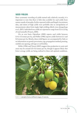 JATROPHA CULTIVATION




SEED YIELDS
Since systematic recording of yields started only relatively recently, it is
important to note that there is little data available for seed yields from
mature stands of jatropha. Earlier reported yields used largely inconsistent
data, and claims of high yields were probably due to extrapolation of
measurements taken from single, high-yielding elderly trees (Jongschaap
et al., 2007). Individual tree yields are reported to range from 0.2 to 2.0 kg
of seed annually (Francis, 2005).
    On an area basis, Openshaw (2000) reports seed yields between
0.4 to 12 tonnes per ha, and Heller (1996) reports yields between 0.1 and
8.0 tonnes per ha. Mostly, these yield ﬁgures are accompanied by little or
no information on genetic provenance, age, propagation method, pruning,
rainfall, tree spacing, soil type or soil fertility.
    Heller (1996) and Tewari (2007) suggest that production in semi-arid
areas may be around 2.0–3.0 tonnes per ha, though it appears likely that
lower average yields are being realized in these sub-optimal conditions.




                                                                                     Photo: MESSEMAKER




PLATE 13: Jatropha fruits at different stages of maturity.




                                                                     Vol. 8–2010 39
 