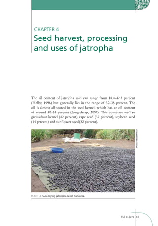 CHAPTER 4
  Seed harvest, processing
  and uses of jatropha




The oil content of jatropha seed can range from 18.4–42.3 percent
(Heller, 1996) but generally lies in the range of 30–35 percent. The
oil is almost all stored in the seed kernel, which has an oil content
of around 50–55 percent (Jongschaap, 2007). This compares well to
groundnut kernel (42 percent), rape seed (37 percent), soybean seed
(14 percent) and sunﬂower seed (32 percent).




                                                                        Photo: MESSEMAKER




PLATE 14: Sun-drying jatropha seed, Tanzania.




                                                           Vol. 8–2010 41
 