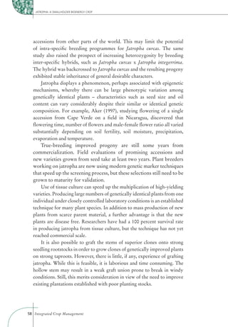 JATROPHA: A SMALLHOLDER BIOENERGY CROP




  accessions from other parts of the world. This may limit the potential
  of intra-speciﬁc breeding programmes for Jatropha curcas. The same
  study also raised the prospect of increasing heterozygosity by breeding
  inter-speciﬁc hybrids, such as Jatropha curcas x Jatropha integerrima.
  The hybrid was backcrossed to Jatropha curcas and the resulting progeny
  exhibited stable inheritance of general desirable characters.
      Jatropha displays a phenomenon, perhaps associated with epigenetic
  mechanisms, whereby there can be large phenotypic variation among
  genetically identical plants – characteristics such as seed size and oil
  content can vary considerably despite their similar or identical genetic
  composition. For example, Aker (1997), studying ﬂowering of a single
  accession from Cape Verde on a ﬁeld in Nicaragua, discovered that
  ﬂowering time, number of ﬂowers and male-female ﬂower ratio all varied
  substantially depending on soil fertility, soil moisture, precipitation,
  evaporation and temperature.
      True-breeding improved progeny are still some years from
  commercialization. Field evaluations of promising accessions and
  new varieties grown from seed take at least two years. Plant breeders
  working on jatropha are now using modern genetic marker techniques
  that speed up the screening process, but these selections still need to be
  grown to maturity for validation.
      Use of tissue culture can speed up the multiplication of high-yielding
  varieties. Producing large numbers of genetically identical plants from one
  individual under closely controlled laboratory conditions is an established
  technique for many plant species. In addition to mass production of new
  plants from scarce parent material, a further advantage is that the new
  plants are disease free. Researchers have had a 100 percent survival rate
  in producing jatropha from tissue culture, but the technique has not yet
  reached commercial scale.
      It is also possible to graft the stems of superior clones onto strong
  seedling rootstocks in order to grow clones of genetically improved plants
  on strong taproots. However, there is little, if any, experience of grafting
  jatropha. While this is feasible, it is laborious and time consuming. The
  hollow stem may result in a weak graft union prone to break in windy
  conditions. Still, this merits consideration in view of the need to improve
  existing plantations established with poor planting stocks.




58 Integrated Crop Management
 