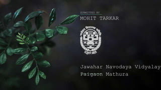 Jawahar Navodaya Vidyalaya
Paigaon Mathura
SUBMITTED BY
MOHIT TARKAR
 
