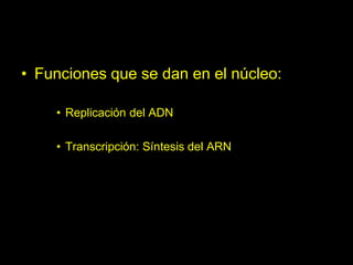 • Funciones que se dan en el núcleo:

    • Replicación del ADN

    • Transcripción: Síntesis del ARN




                                        32
 