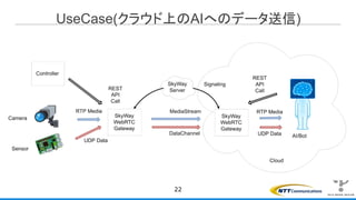 UseCase(クラウド上のAIへのデータ送信)
22
 