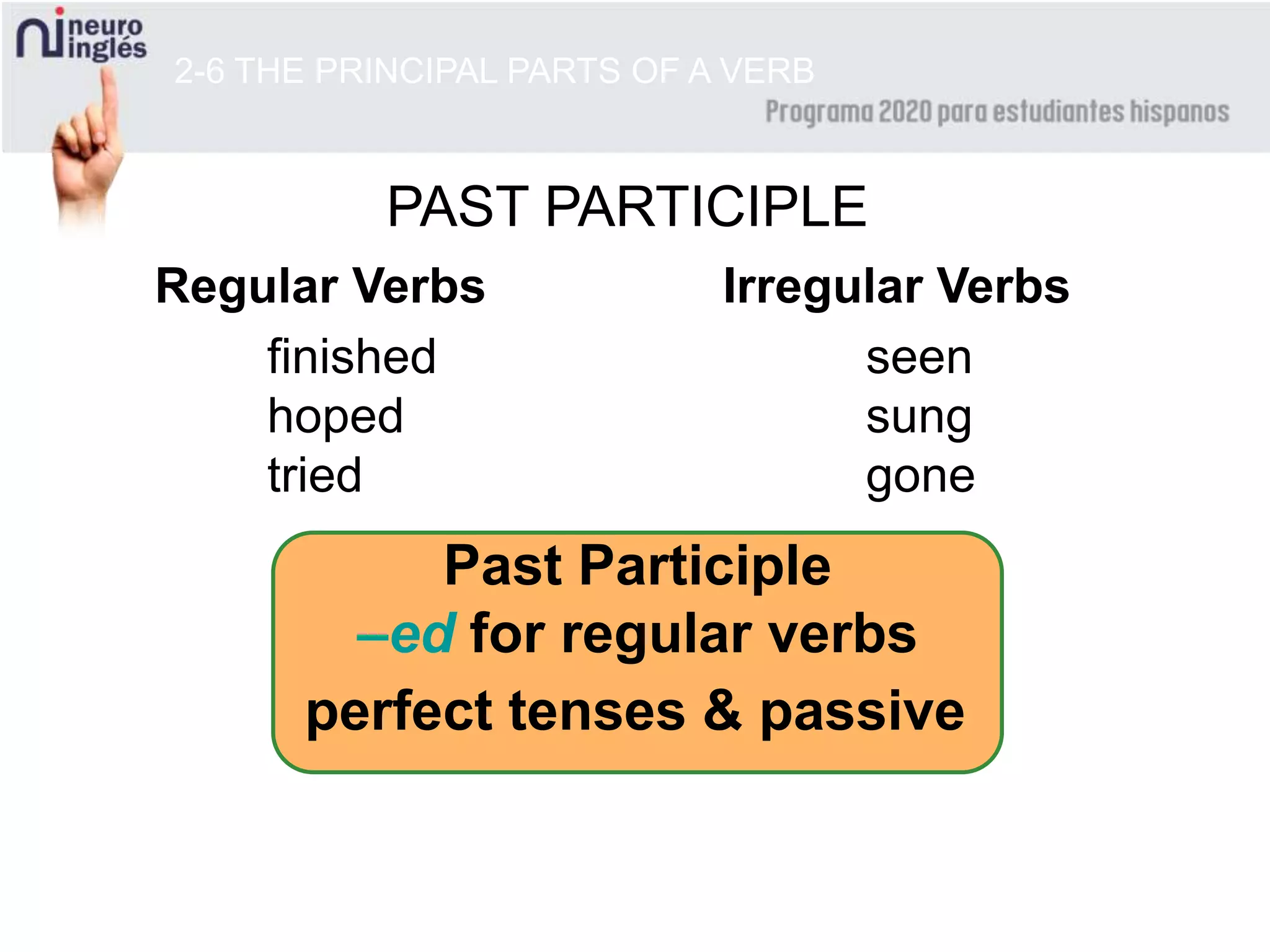 2-6 THE PRINCIPAL PARTS OF A VERB
PAST PARTICIPLE
Regular Verbs Irregular Verbs
finished
hoped
tried
Past Participle
–ed for regular verbs
seen
sung
gone
perfect tenses & passive
 
