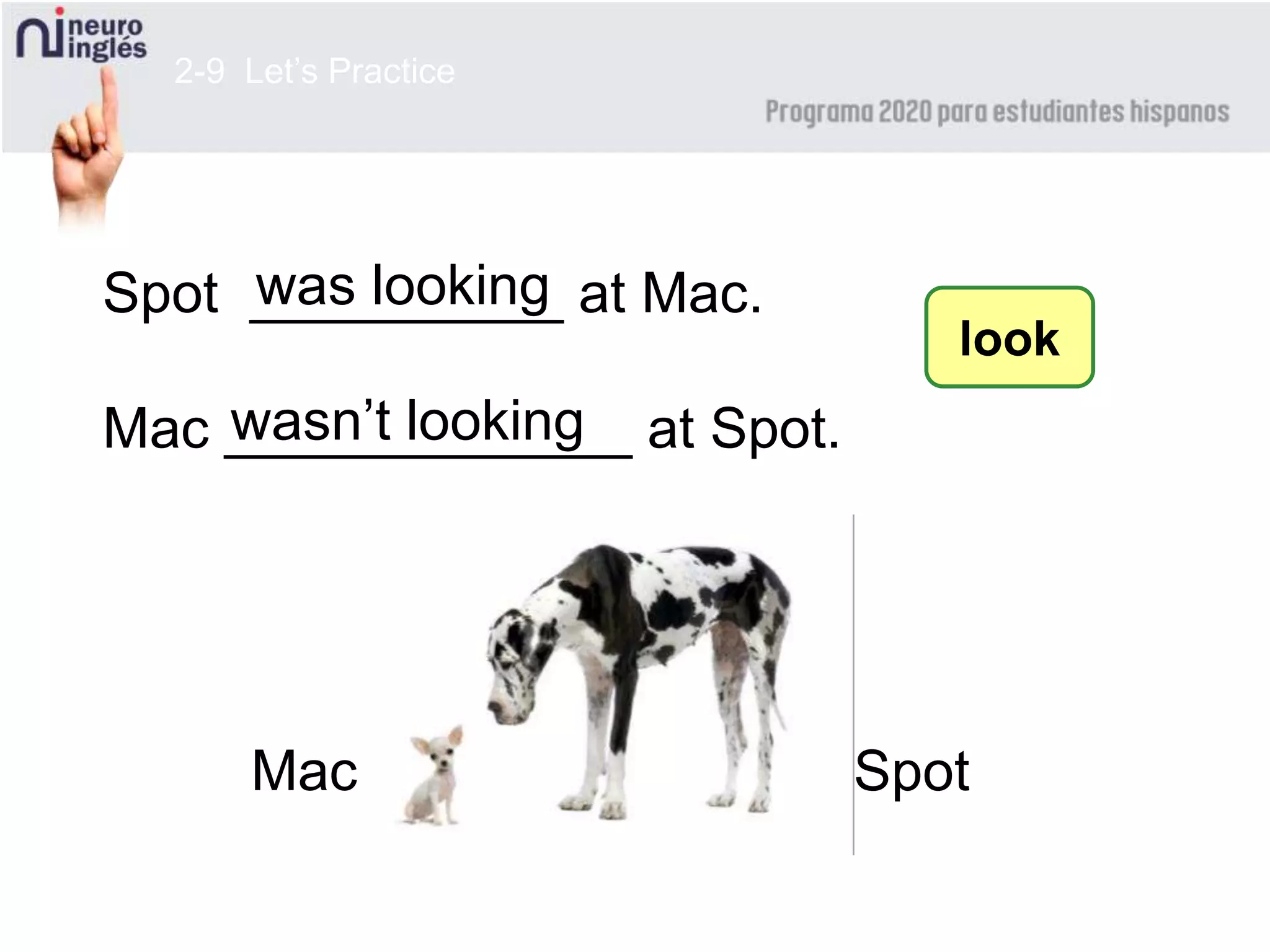 2-9 Let’s Practice
Spot __________ at Mac.
Mac _____________ at Spot.
was looking
look
wasn’t looking
SpotMac
 