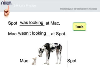 2-9 Let’s Practice
Spot __________ at Mac.
Mac _____________ at Spot.
was looking
look
wasn’t looking
SpotMac
 