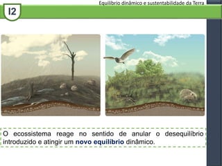 I2
Equilíbrio dinâmico e sustentabilidade da Terra
O ecossistema reage no sentido de anular o desequilíbrio
introduzido e atingir um novo equilíbrio dinâmico.
 
