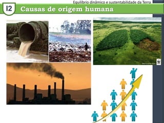 I2
Equilíbrio dinâmico e sustentabilidade da Terra
Causas de origem humana
 