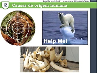 I2
Equilíbrio dinâmico e sustentabilidade da Terra
Causas de origem humana
 