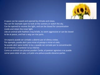 A space can be sawed and opened by climate and views.
You can for example open to look at the scenery or watch the sky.
Can be opened to receive the light, and can be closed for concentration
inside and retain the inner light.
Like an animal with feathers may bristle, to seem aggressive or can be closed
to be at peace, and hair a wig can rise parts.
Un espacio puede ser cortado y abierto por el clima y vistas.
Por ejemplo, puede abrir para mirar el paisaje o mirar el cielo.
Se puede abrir para recibir la luz, y puede ser cerrado por la concentración
en el interior y mantener la luz interior.
Como un animal con plumas pueden Cerda, al parecer agresivo o se puede
cerrar para estar en paz, y el pelo una peluca puede elevarse partes.
 